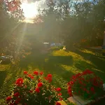 Lory 3* Elice