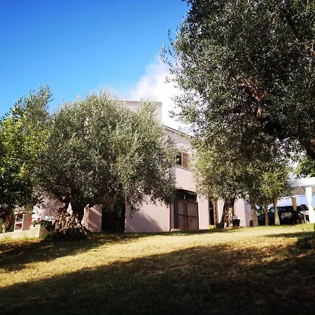 Lory Bed & Breakfast Elice