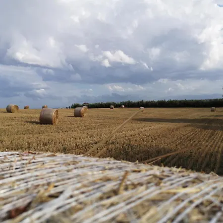 فندق مبيت وإفطار Lory Elice