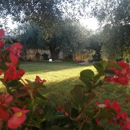 Bed & Breakfast Lory Elice