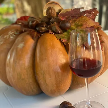 Alojamento de Acomodação e Pequeno-almoço Lory Elice