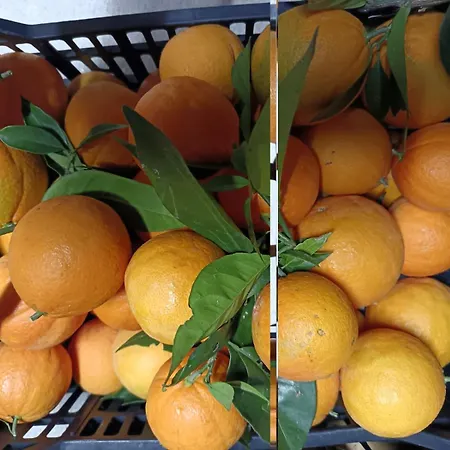 فندق مبيت وإفطار Lory