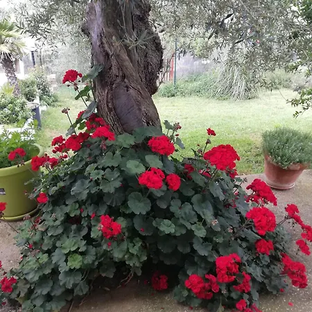 Bed & Breakfast Lory 3*