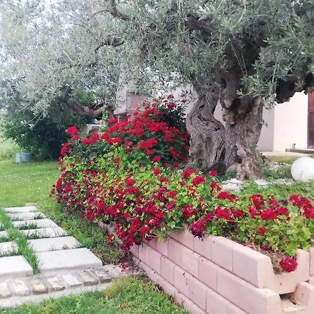 فندق مبيت وإفطار Lory Elice