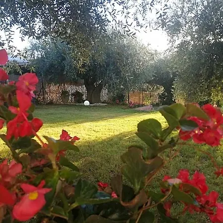 Lory Bed & Breakfast