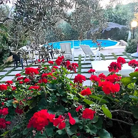 Bed & Breakfast Lory