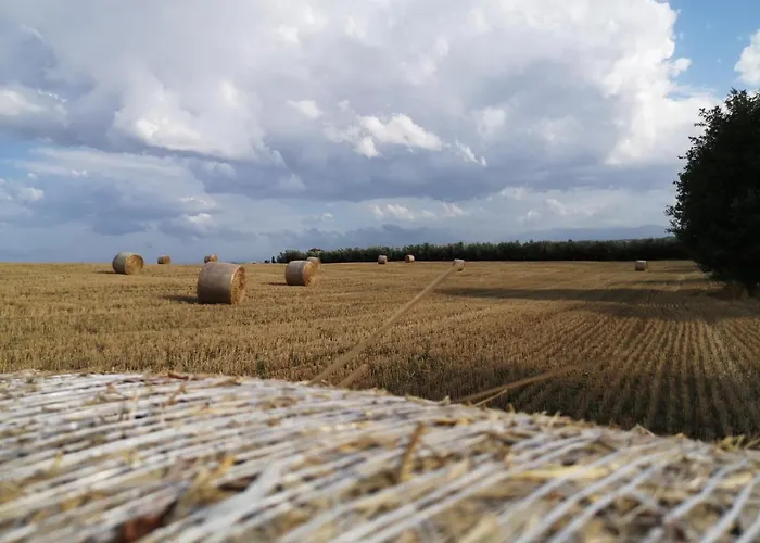 Alojamento de Acomodação e Pequeno-almoço Lory Elice