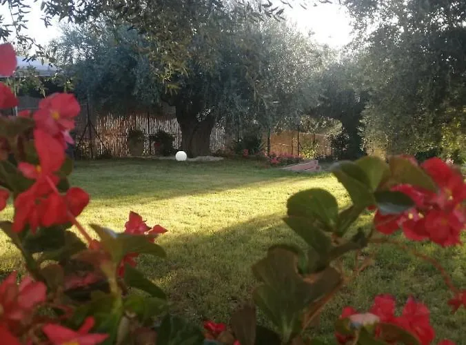 Alojamento de Acomodação e Pequeno-almoço Lory Elice