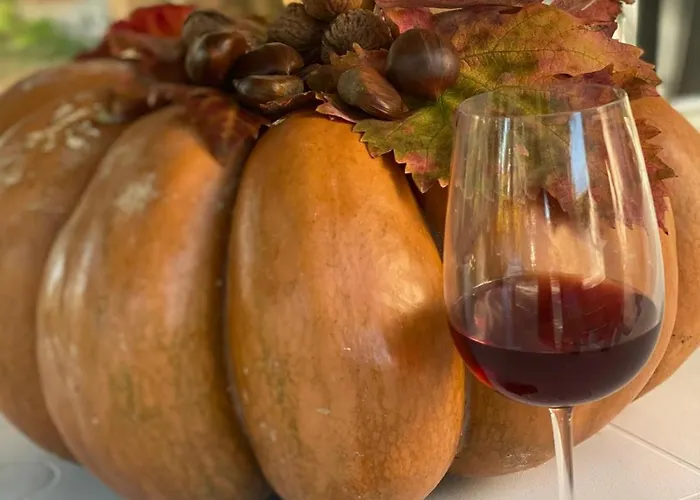 Alojamento de Acomodação e Pequeno-almoço Lory Elice