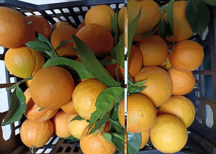 Alojamento de Acomodação e Pequeno-almoço Lory