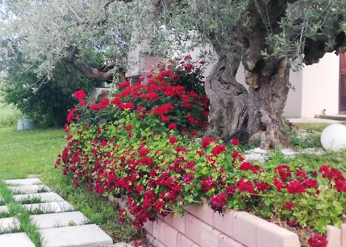 Alojamento de Acomodação e Pequeno-almoço Lory Elice